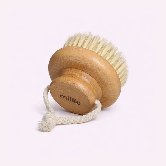 Body Dry Brush