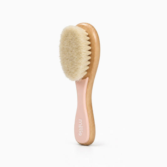 Facial Dry Brush