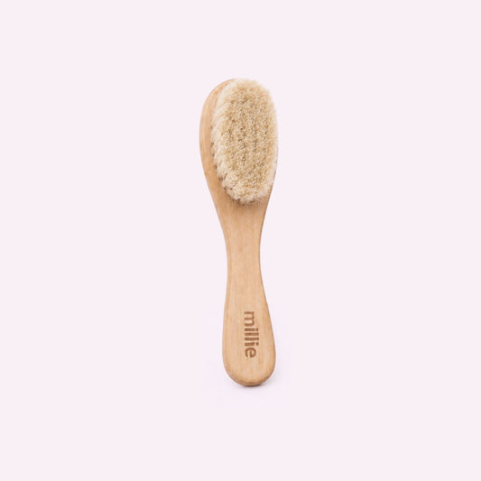 Facial Dry Brush