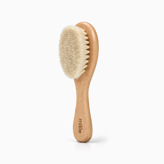 Facial Dry Brush